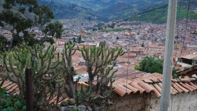 Thorns above Cuzco