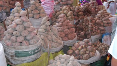 Different Kinds of Potatoes