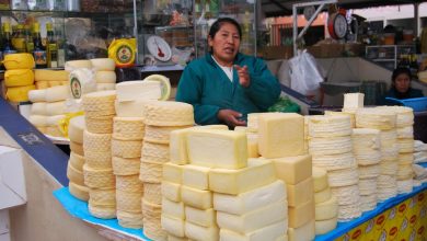 Cheese Vendor, Ttio Market