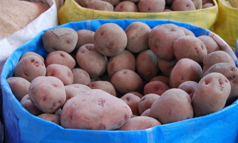 Potatoes for Sale