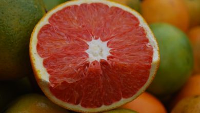 Cara Cara Orange Fruit Ready to Taste