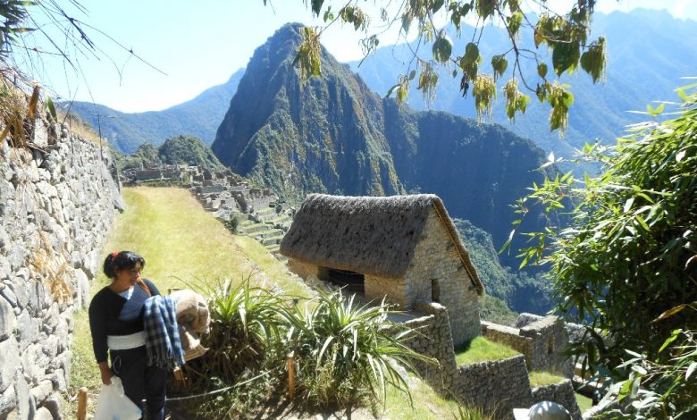 Machu Picchu Green