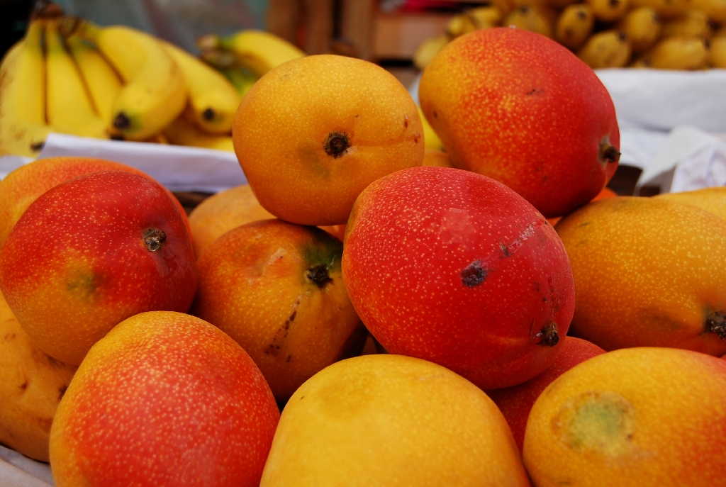 Fresh Mangos for Sale