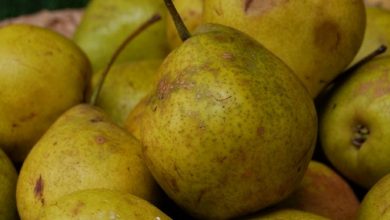 Sweet Pears From Sacred Valley