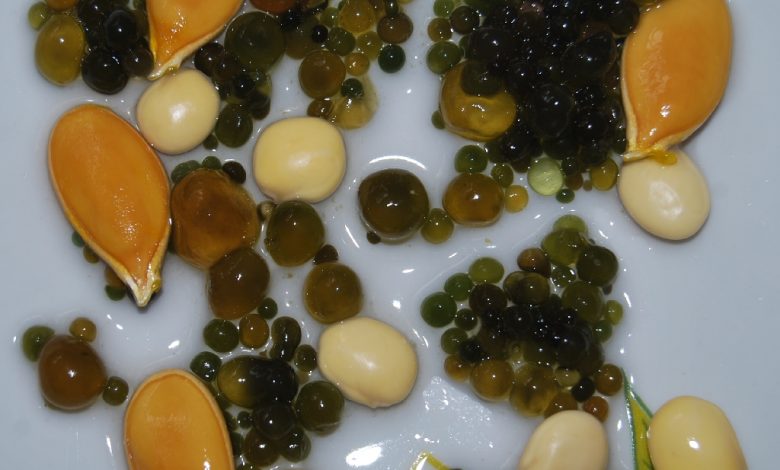 Balls of Llullucha with Squash and Tarwi seeds