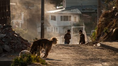 Boys, Dog, Dirt, and Dust In San Blas Neighborhood (Photo: Wayra)