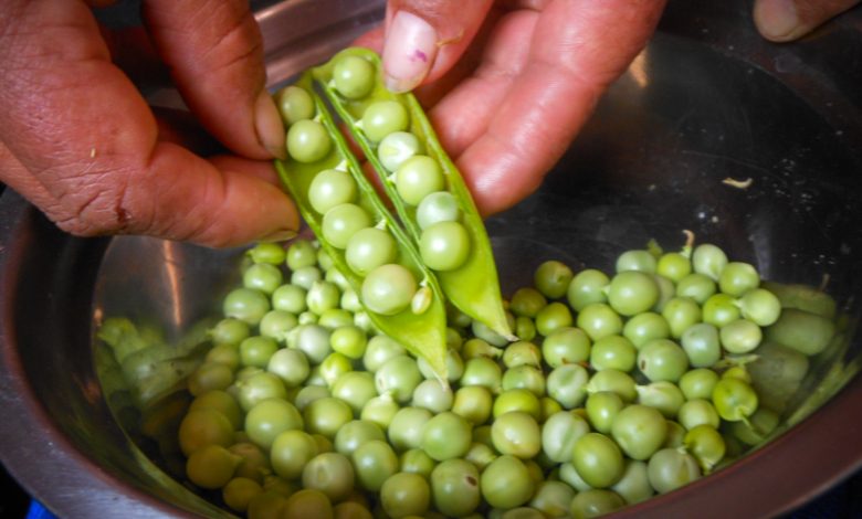 Fresh Peas, The Sacred Ingredient of Cuzco's Cuisine (Photo: Wayra)