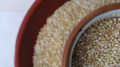 Quinoa Seeds (Photo: Walter Coraza Morveli)