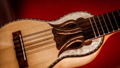The Fascinating Sound of Charango Keeps You Alive