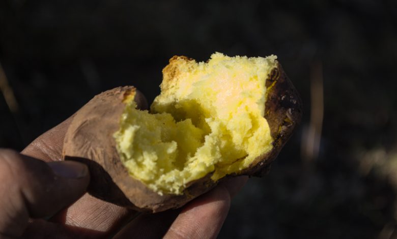 Huatia, Baked Potato