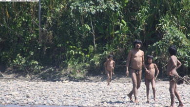 Isolated People Around Yanayacu River, Alto Madre de Dios