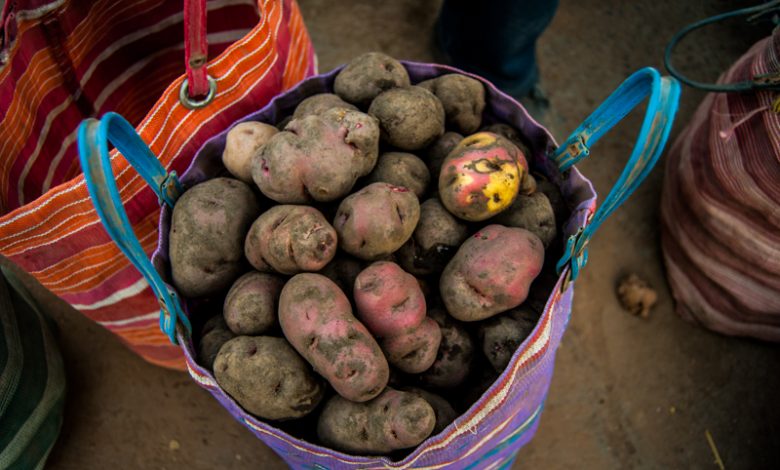 Potatoes in Cuzco (Walter Coraza Morveli)