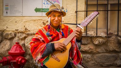 A Traditional Musician of Cuzco