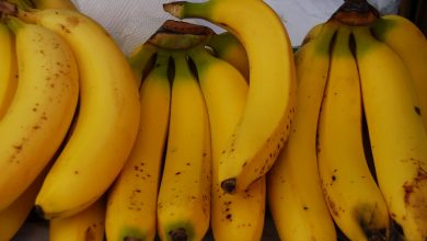 Peruvian Banans Claim the World (Walter Coraza Marveli)