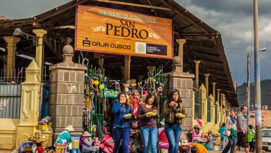 San Pedro Market, A rich of Variety of Street Food (Hebert Huamani Jara)