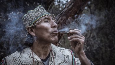 A Shaman Smoking Natural Mapacho