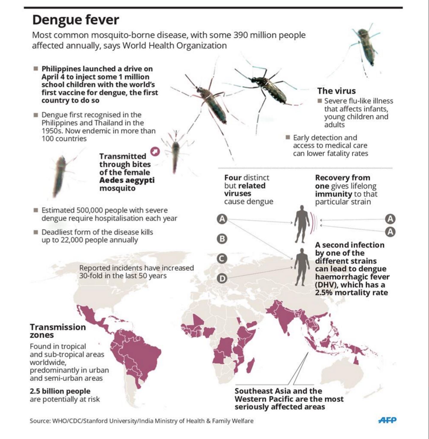 El proceso de la fiebre dengue