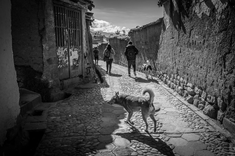 Perros en las calles de (Walter Coraza Morveli)