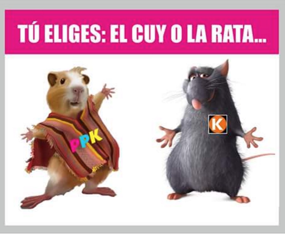 Cuy o Rata, Political meme