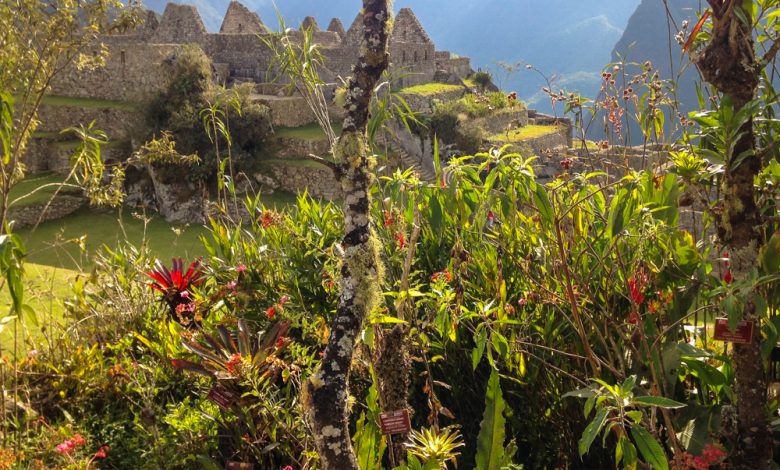 The Beauty of Machu Picchu (Natalie Bankhead)
