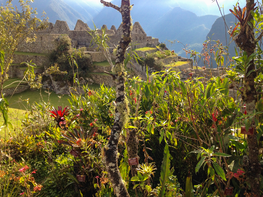 The Beauty of Machu Picchu (Natalie Bankhead)
