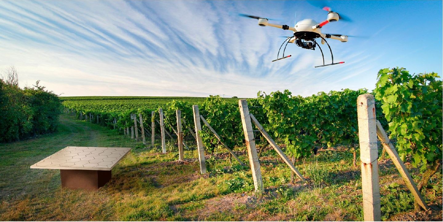 Controlando los campos de agricultura con drones