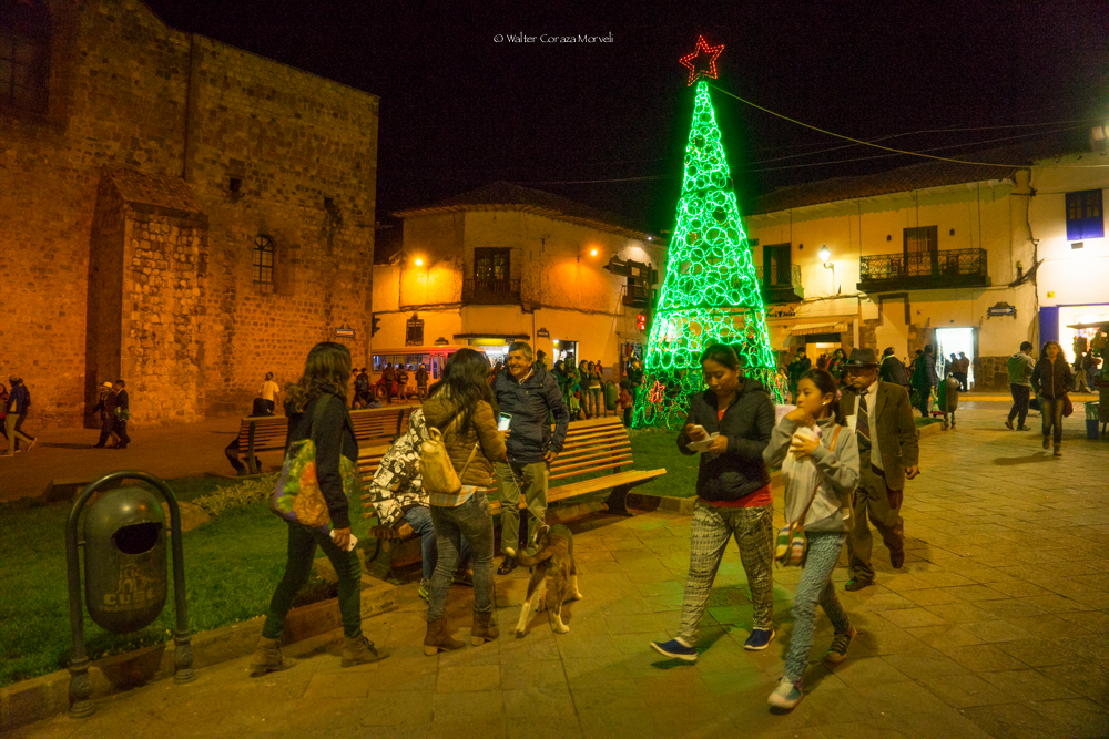 Christmas Tree Shape in Plazoleta Espinar (Walter Coraza Morveli)