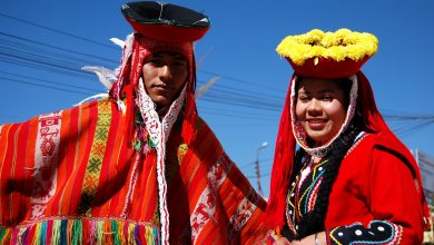 Traditional Costume for Dance