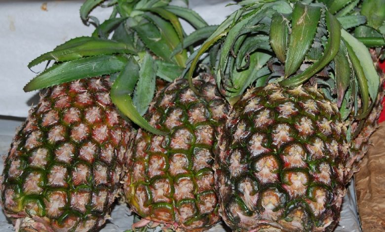 Three Pineapples in a Row