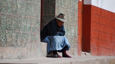 Older Woman of Cuzco Warming Herself in the Sun