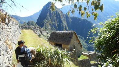 Machu Picchu Green