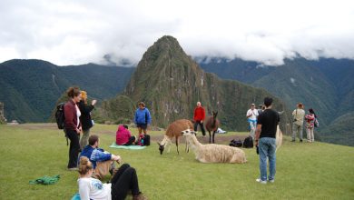 Tourists at Machu Picchu (Walter Coraza Morveli)