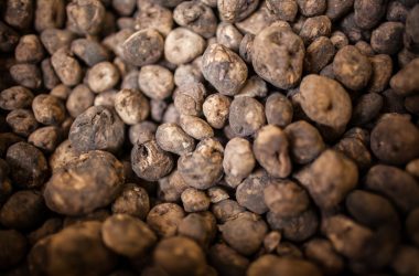 Chuno (Freeze dried potatoes - around 3cm wide)