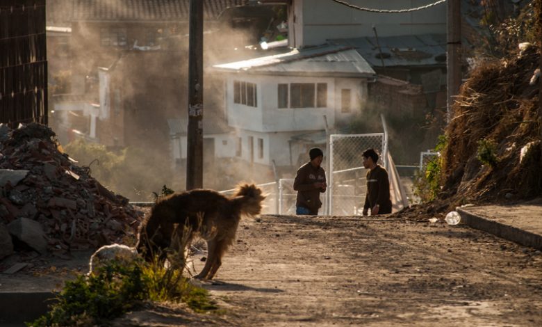 Boys, Dog, Dirt, and Dust In San Blas Neighborhood (Photo: Wayra)