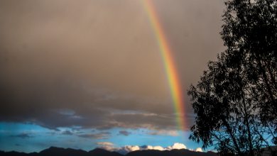 Rainbow Smile in Middle of a Rain (Photo: Arnold Fernadez Coraza)