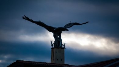 The Condor Flies in San Sebastian Cuzco