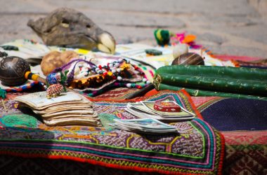 Wachuma, Psychoactive Plant (Photo: Walter Coraza Morveli)