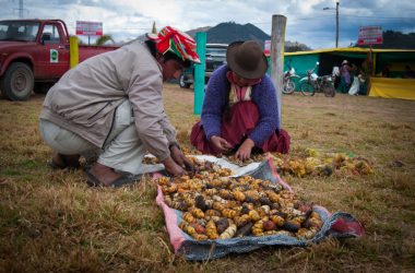 Year of Family Agriculture (Photo: Walter Coraza Morveli)