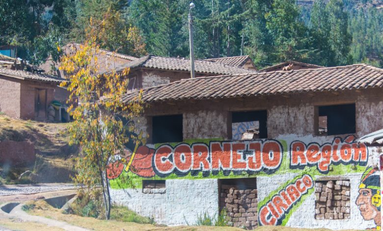 Political Graffiti in Cuzco (Walter Coraza Morveli)