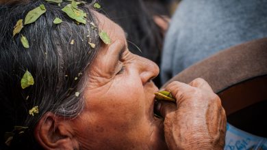 Chewing Coca Leaves in a Special Moment (Walter Coraza)