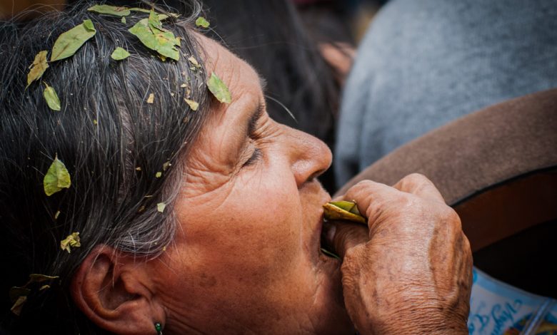 Chewing Coca Leaves in a Special Moment (Walter Coraza)
