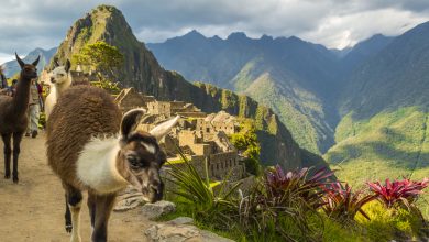 The Magic of Machu Picchu (Walter Coraza Morveli)
