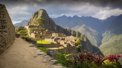 The Mystery of Machu Picchu (Walter Coraza Morveli)