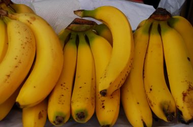 Peruvian Banans Claim the World (Walter Coraza Marveli)