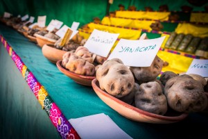 Photo of National Day of the Potato