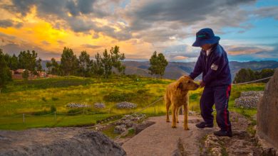 A Moment for a Boy and His Pet, Sunset in Cusco