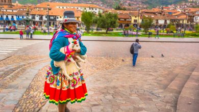 Cholito Who Posed for Pictures in Cusco (Hebert Huamani Jara )