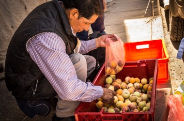 Selecting peaches from a bin (Hebert Edgardo Huamani Jara)