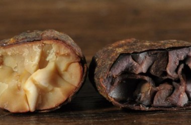 Pure Nacional Cacao Beans