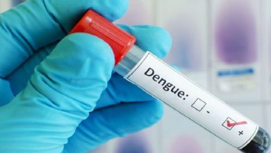 La primera vacuna para el dengue
